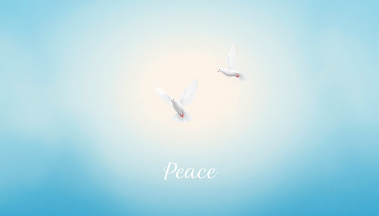 Celebrating International Day of Peace with XOTIC Essentials