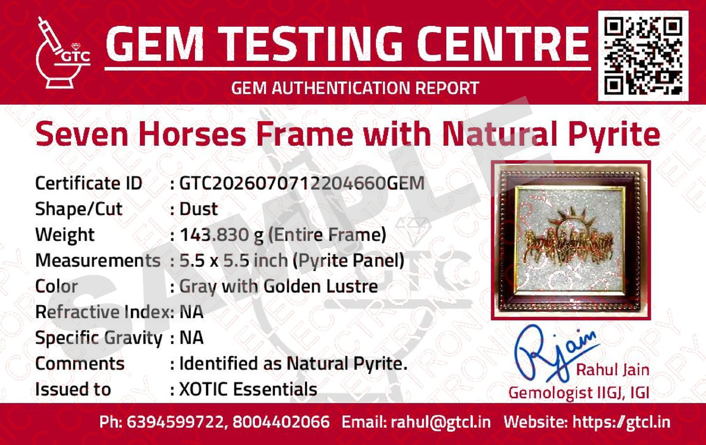 XOTIC Wealth Magnet 7 Horses Frame