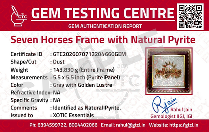 XOTIC Wealth Magnet 7 Horses Frame