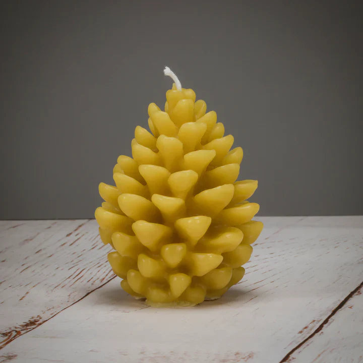 Pine Cone Beeswax Candles